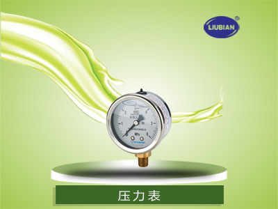 壓力表