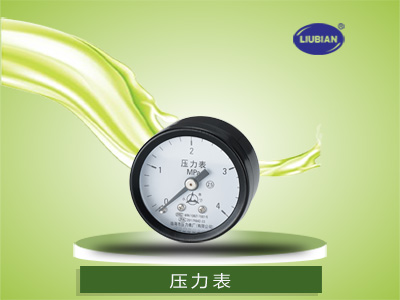 壓力表